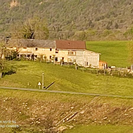 La Chambre Savoyarde Chez Les Garcons Saint-Paul-sur-Yenne エクステリア 写真